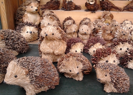 Hedgehogs!