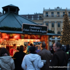 Lining up for Gluhwein at the Schonbrunn palace market.