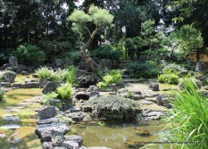 Japanese garden.