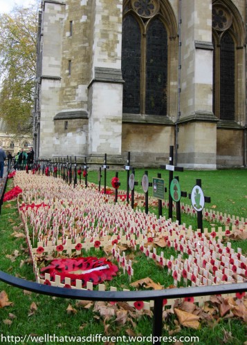 Remembrance Day poppies at the Abbey.